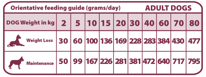 Pienso "VETERINARIO SIN CEREALES + CONTROL DE PESO & REGULACIÓN GLUCOSA" para Perro Adulto/Senior cualquier tamaño