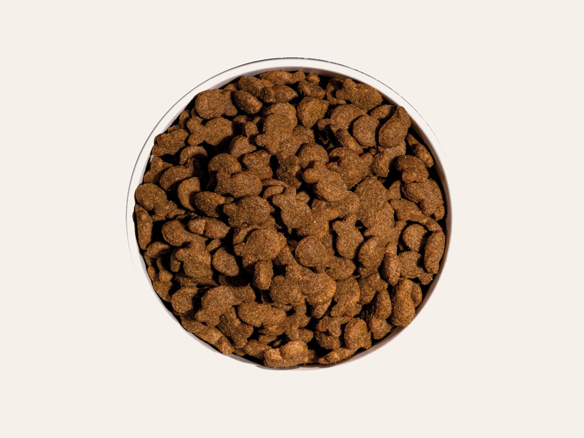 Pienso de Pescado Fresco y Carne "DESARROLLO MUSCULAR & PIEL SANA" para Perro Adulto y Esterilizado cualquier tamaño