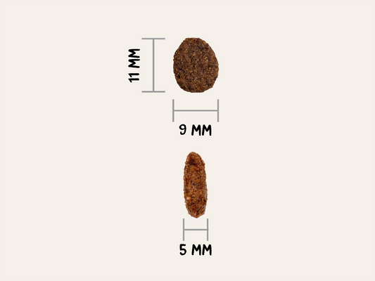 Pienso de Pollo "BAJO EN CEREALES SIN GLUTEN + CUIDADO ESPECIAL RENAL" para Gato Adulto/Senior
