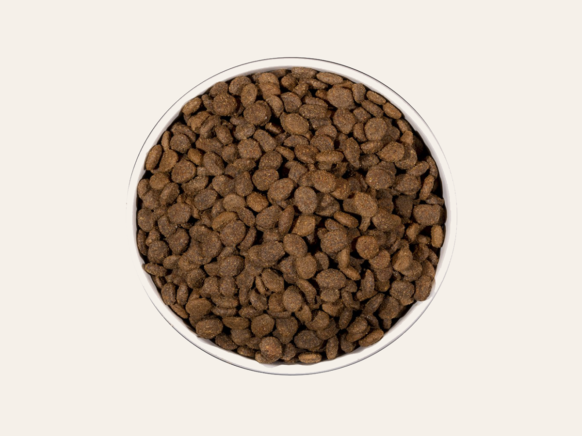 Pienso de Pollo "BAJO EN CEREALES SIN GLUTEN + CUIDADO ESPECIAL RENAL" para Gato Adulto/Senior