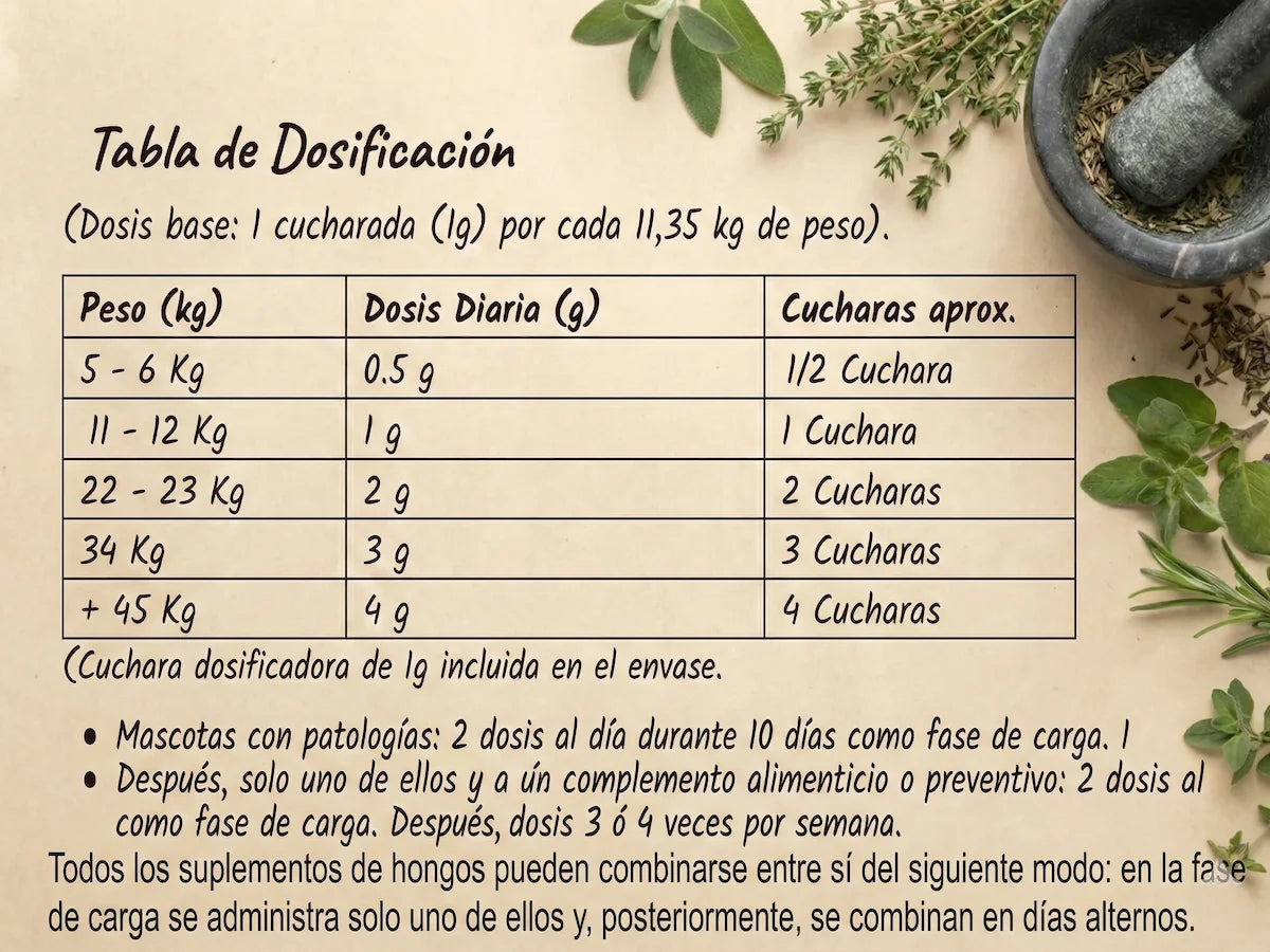Infografía rústica de la tabla de dosificación del suplemento natural Cordypower. Muestra la dosis diaria recomendada en gramos y número de cucharadas (basada en la cuchara dosificadora de 1g incluida) según el peso de la mascota en Kg. Además, detalla las instrucciones específicas de administración, incluyendo las fases de carga inicial y las dosis de mantenimiento, tanto para mascotas con patologías como para uso preventivo
