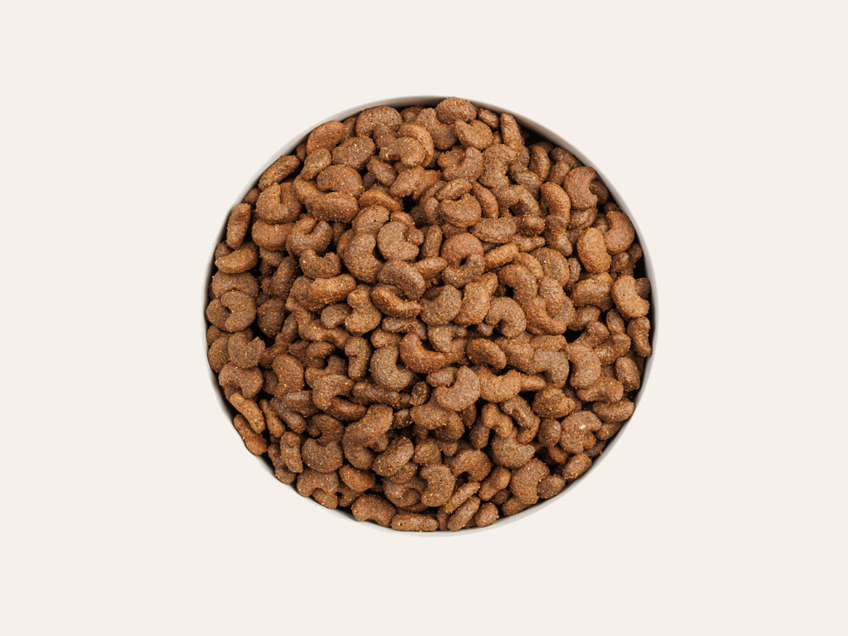 Pienso de pollo "BAJO EN CEREALES SIN GLUTEN + CUIDADO ESPECIAL URINARIO" para Gato Adulto/Senior