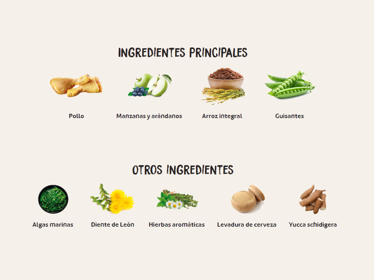 Pienso de pollo "BAJO EN CEREALES SIN GLUTEN + CUIDADO ESPECIAL URINARIO" para Gato Adulto/Senior