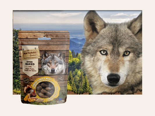 Snack Funcional Galletas Horneadas de Pavo, Calabaza, Patata y Quinoa "SIN CEREALES + DIGESTIVO" para Perro Adulto / Senior tamaño Mini / Pequeño