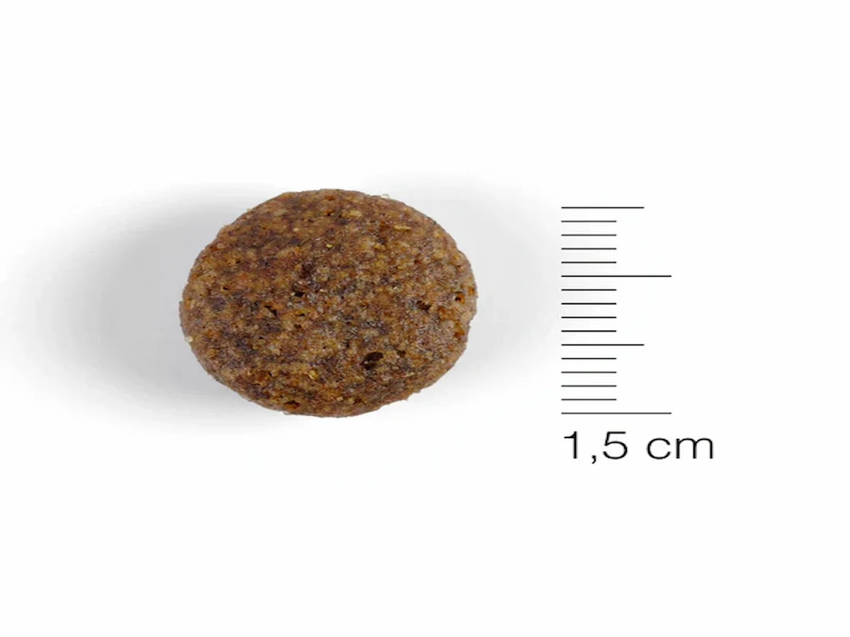 Saco de pienso completo de Cordero y Arroz para Perro hipoalergénico