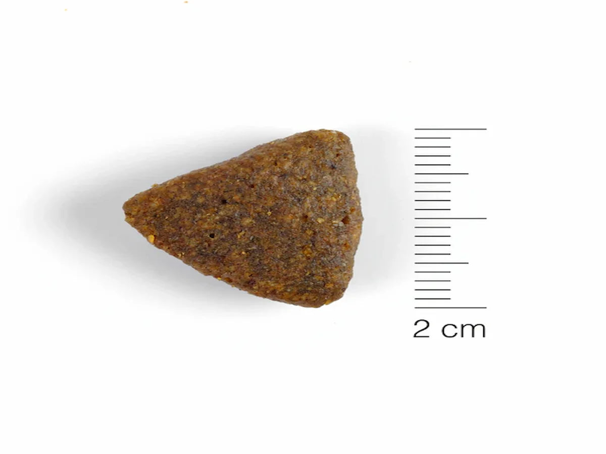 Saco de pienso completo de Salmón, Pescado y Arroz para Perro hipoalergénico y rico en Omega 3