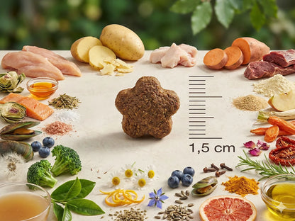 Saco de pienso completo de Pollo y Verduras sin cereales para Perro