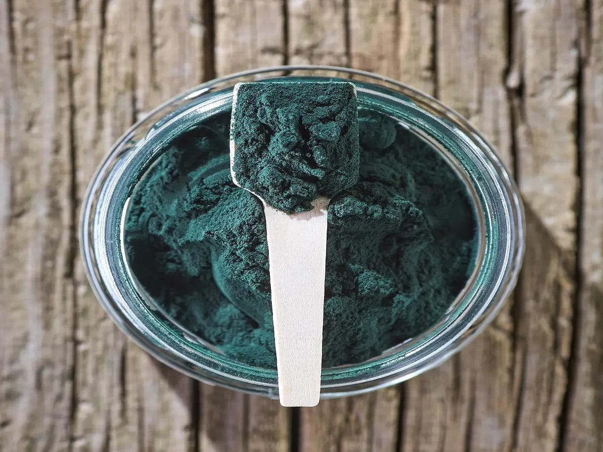 Vista cenital de un tarro de cristal lleno de espirulina verde en polvo con una cuchara dosificadora de madera, suplemento natural para mascotas.