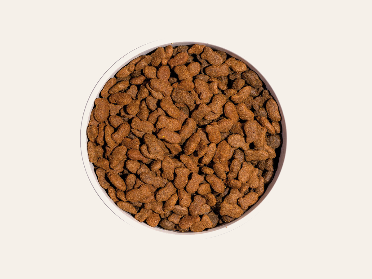 Pienso de Pescado, Pollo y Cerdo "SIN CEREALES + SALUD ARTICULAR & CONTROL DE PESO" para Gato Adulto/Senior Esterilizado