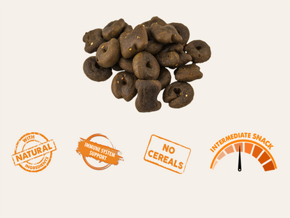 Snack Funcional Galletas Horneadas de Pavo, Jengibre y Cúrcuma "SIN CEREALES + INMUNITARIO & ANTIINFLAMATORIO" para Perro Adulto/Senior cualquier tamaño