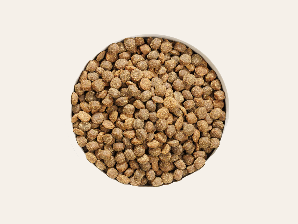 Pienso de Pollo "BAJO EN CEREALES + SOPORTE DIGESTIVO & ARTICULAR" para Perro Cachorro/Junior cualquier tamaño