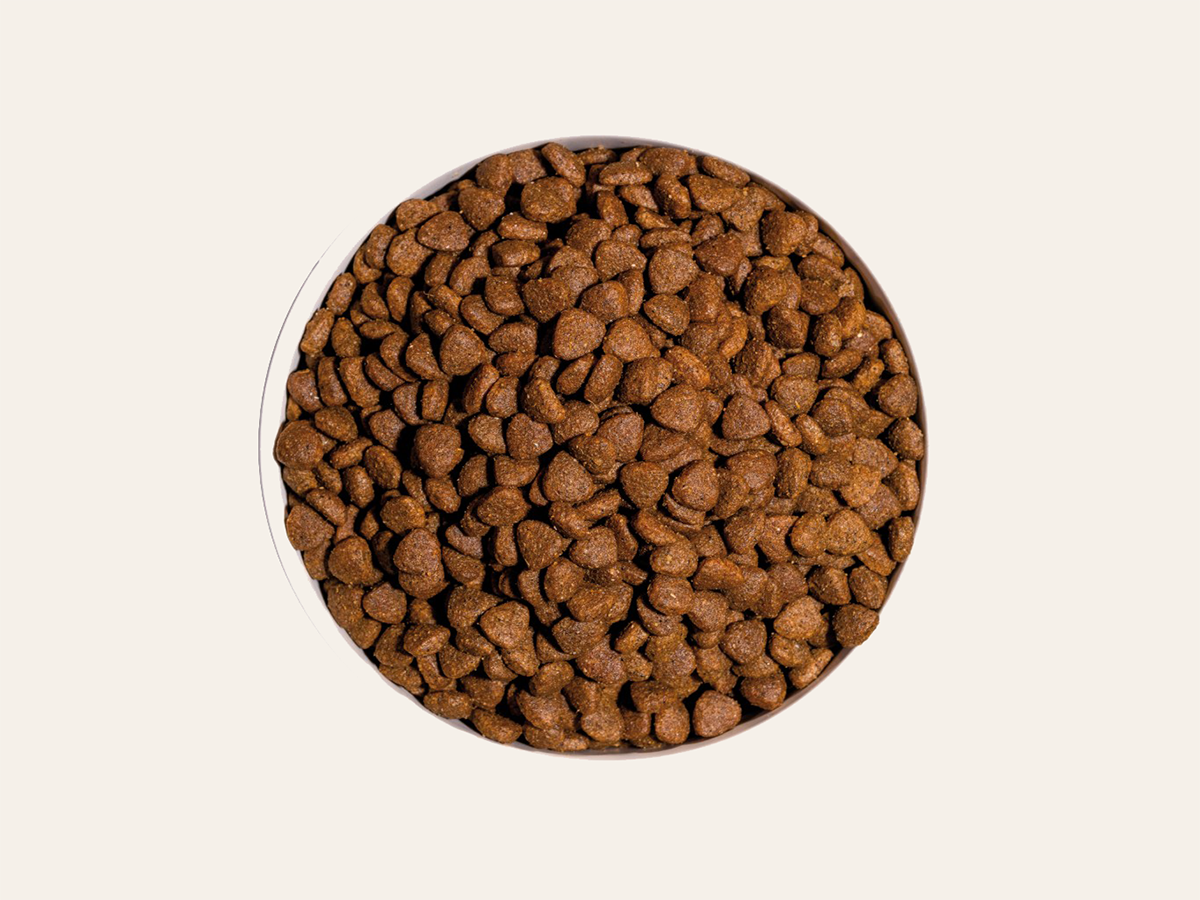 Pienso de Pollo, Pescado y Huevo "CON CEREALES Y GLUTEN + DESARROLLO MUSCULAR & SALUD CARDÍACA / OCULAR" para Gato Gatito/Junior