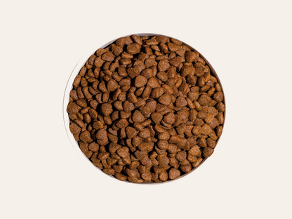 Pienso de Pollo, Pescado y Huevo "CON CEREALES Y GLUTEN + DESARROLLO MUSCULAR & SALUD CARDÍACA / OCULAR" para Gato Gatito/Junior