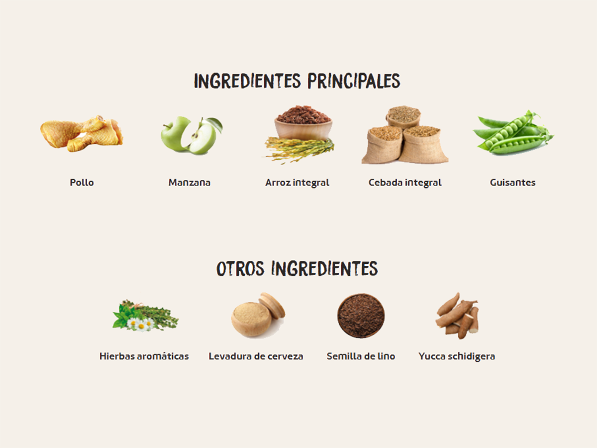 Pienso de Pollo, Pescado y Huevo "CON CEREALES Y GLUTEN + DESARROLLO MUSCULAR & SALUD CARDÍACA / OCULAR" para Gato Gatito/Junior