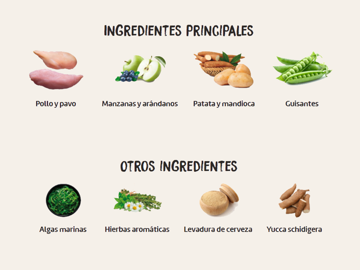 Pienso de Pollo y Pavo "SIN CEREALES + DESARROLLO ARTICULAR & CEREBRAL" para Gato Gatito