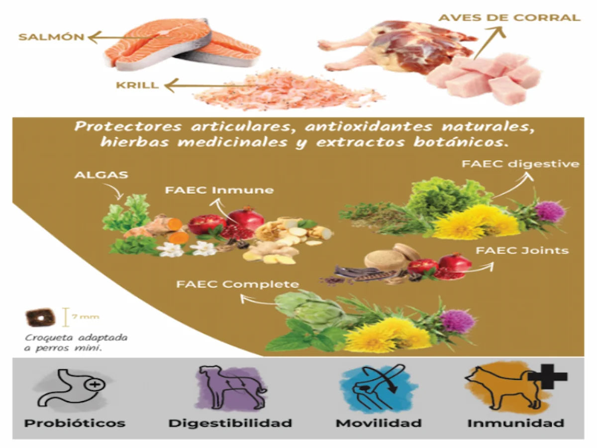 pienso natural lenda mini meat & fish con pavo y pescado para perros mini