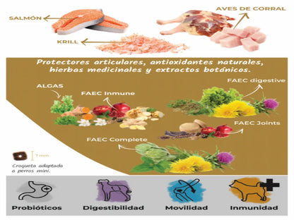 pienso natural lenda mini meat & fish con pavo y pescado para perros mini