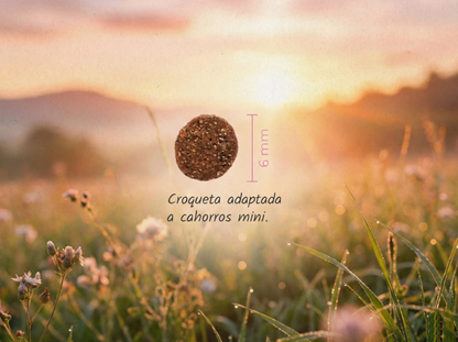 Pienso de Pollo, Pato y Pescado CON CEREALES SIN GLUTEN + PROTECCIÓN ARTICULAR y DIGESTIÓN ÓPTIMA para Perro Cachorro/Junior de tamaño Mini/Pequeño