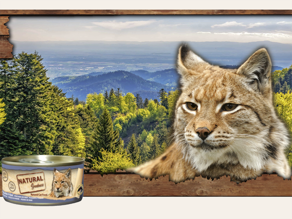 Topper Complementario Comida Real de Caballa y Besugo "BAJO EN CEREALES + CONTROL DE PESO & PIEL SANA" para Gato Adulto/Senior también Esterilizados