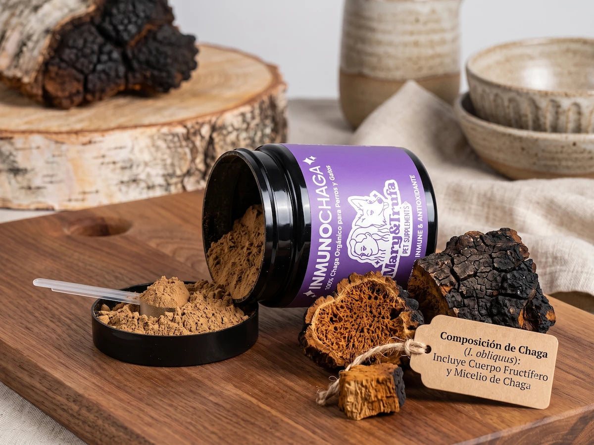 Suplemento 100% Chaga Orgánico INMUNOMODULADOR + ANTIINFLAMATORIO + DIGESTIVO + ARTICULAR para Perro y Gato (también Esterilizado)