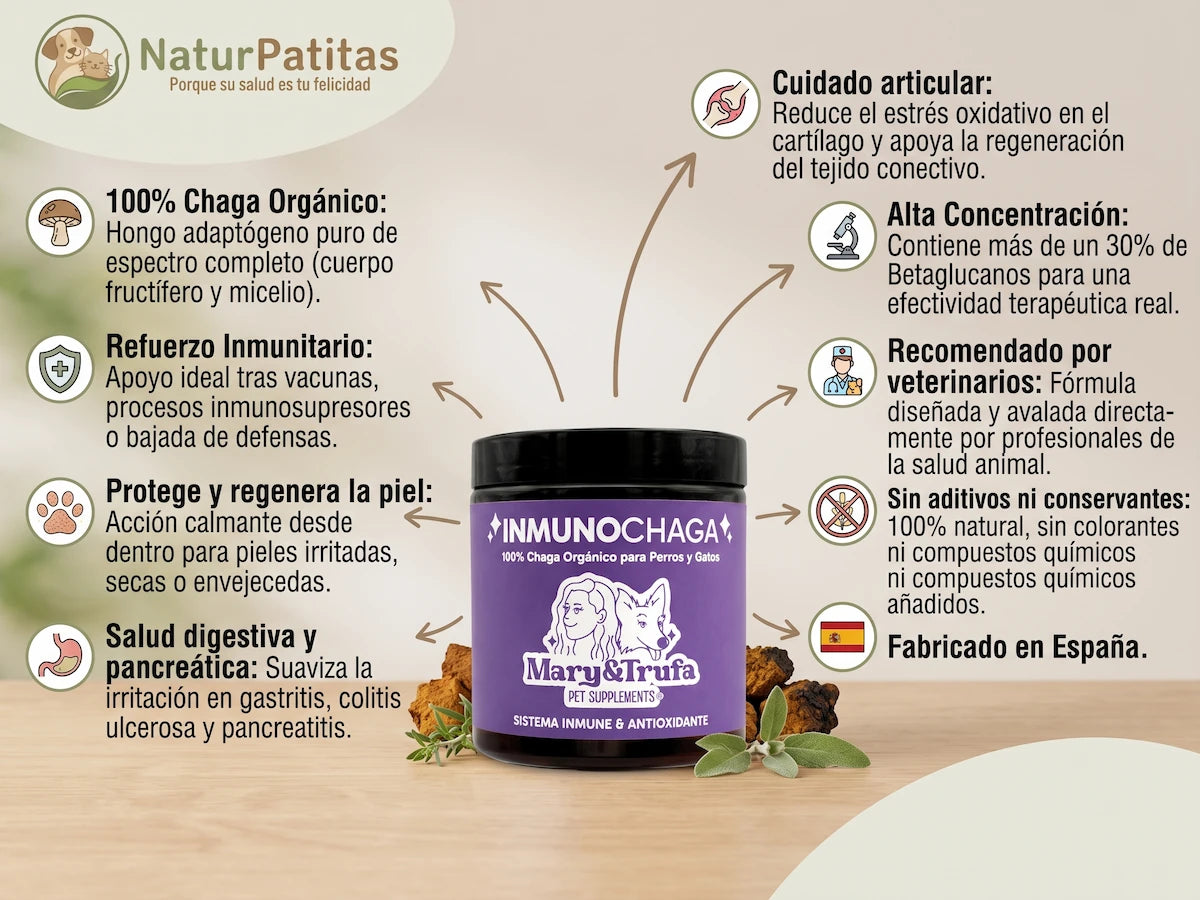 Suplemento 100% Chaga Orgánico INMUNOMODULADOR + ANTIINFLAMATORIO + DIGESTIVO + ARTICULAR para Perro y Gato (también Esterilizado)