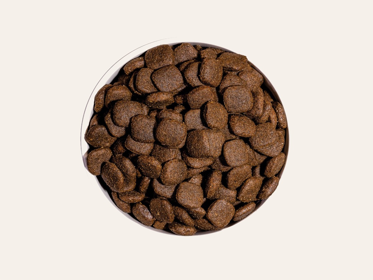 Pienso de Pollo, Pavo y Salmón "BAJO EN CEREALES SIN GLUTEN + SOPORTE INMUNOLÓGICO & ARTICULAR" para Perro Adulto tamaño Mediano/Grande/Gigante