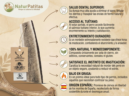 Mordedor natural de 100% Asta de Ciervo partida con acceso al tuétano para Perro