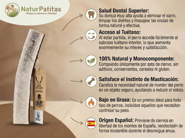 Mordedor Natural de Asta de Ciervo Partida SIN CEREALES + SALUD DENTAL y ENTRENAMIENTO para Perro Adulto/Senior (también Esterilizado)