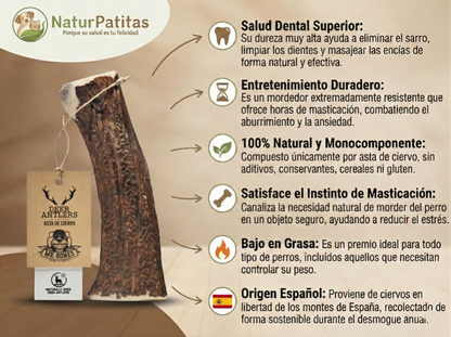 Mordedor Natural de Asta de Ciervo Entero "SIN CEREALES + SALUD DENTAL & ENTRENAMIENTO" para Perro Adulto