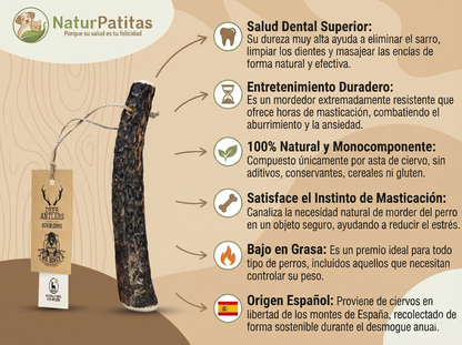 Mordedor Natural de Asta de Ciervo Entero "SIN CEREALES + SALUD DENTAL & ENTRENAMIENTO" para Perro Adulto