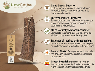 Mordedor Natural de Asta de Ciervo Entero "SIN CEREALES + SALUD DENTAL & ENTRENAMIENTO" para Perro Adulto