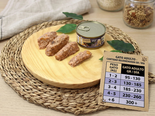 Paté Completo de Pavo y Pollo SIN CEREALES + SALUD URINARIA y PIEL Y PELAJE para Gato Adulto (También Esterilizado)