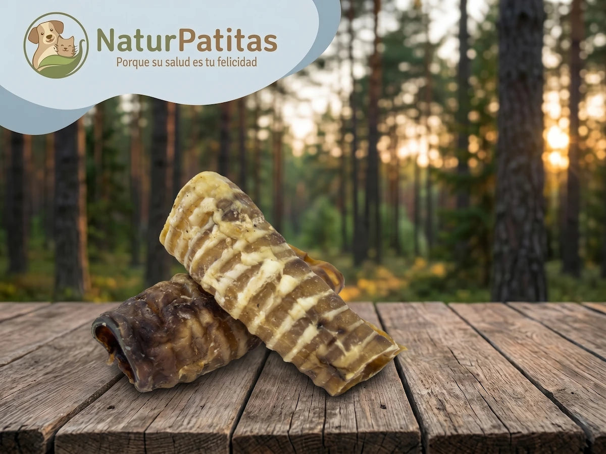 Snack Complementario de Tráquea de Ternera SIN CEREALES + SALUD DENTAL y CUIDADO ARTICULAR para Perro Junior/Adulto/Senior Tamaño Mediano/Grande/Gigante (también Esterilizado)