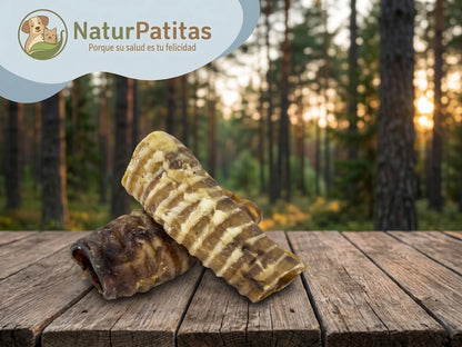 Snack Complementario de Tráquea de Ternera SIN CEREALES + SALUD DENTAL y CUIDADO ARTICULAR para Perro Junior/Adulto/Senior Tamaño Mediano/Grande/Gigante (también Esterilizado)