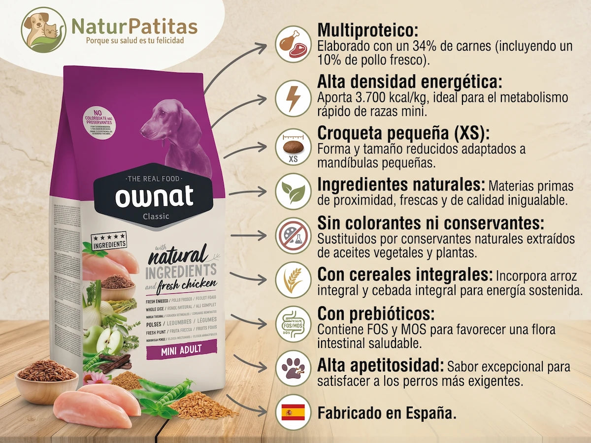 Infografía del pienso para perros Ownat Classic Mini Adult en NaturPatitas. Muestra el saco de alimento sobre un fondo natural junto a sus beneficios clave señalados con iconos: receta multiproteica con pollo fresco, alta densidad energética para razas mini, croqueta tamaño XS, ingredientes naturales, sin colorantes ni conservantes, con cereales integrales, prebióticos FOS/MOS, alta apetitosidad y sello de fabricado en España.