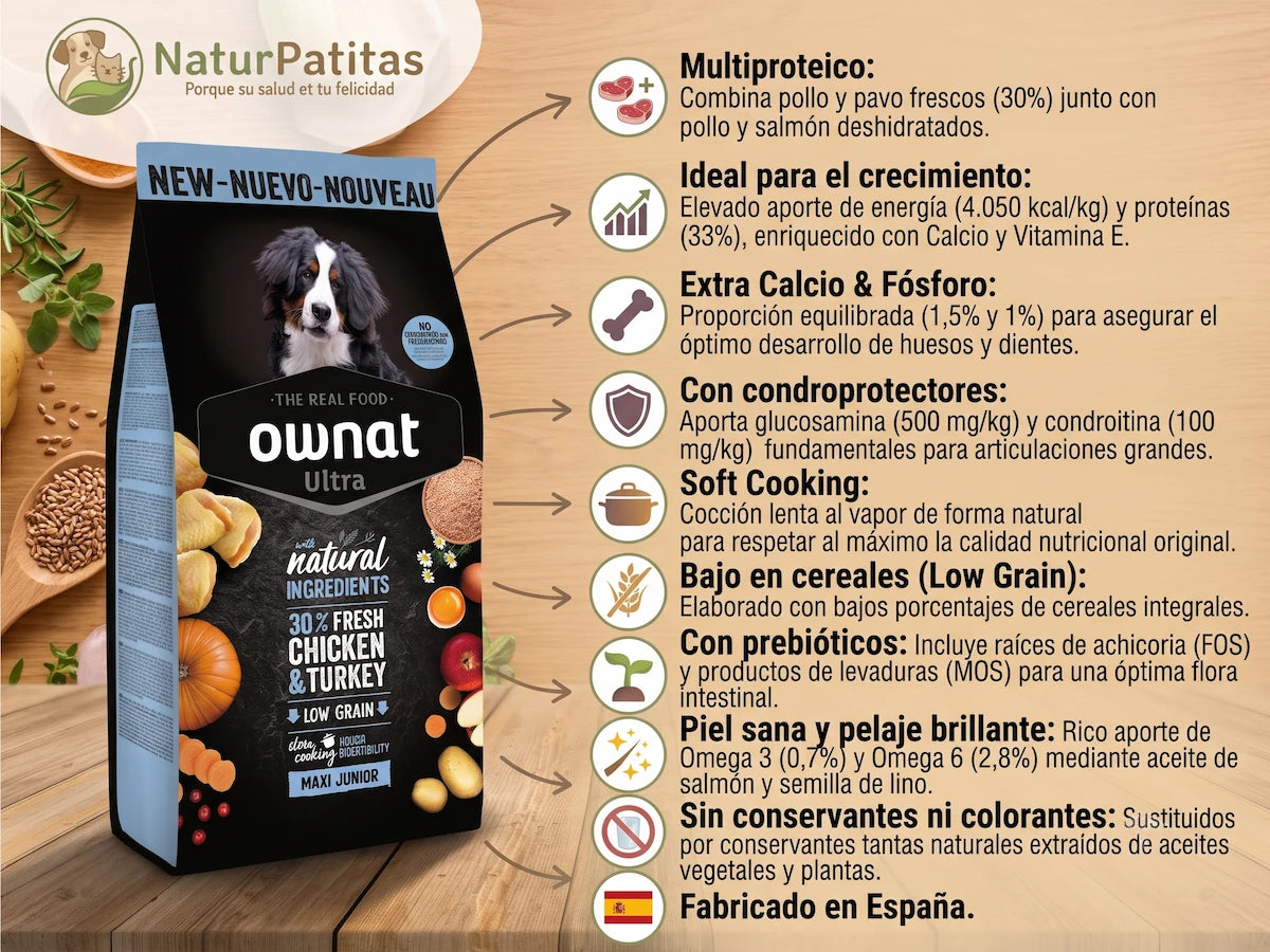 Infografía de comida para cachorros MAXI JUNIOR de la marca OWNAT Ultra, presentada por NaturPatitas. A la izquierda, una bolsa de comida negra y azul con un cachorro Bernese Mountain Dog, que destaca el uso de "30% pollo y pavo frescos" y "bajo en cereales". A la derecha, una lista estructurada de 10 puntos clave con iconos y flechas que la unen a la bolsa. Los puntos detallan beneficios nutricionales como: fórmula multiproteico (pollo, pavo, salmón), ideal para crecimiento y huesos (calcio y fósforo), con