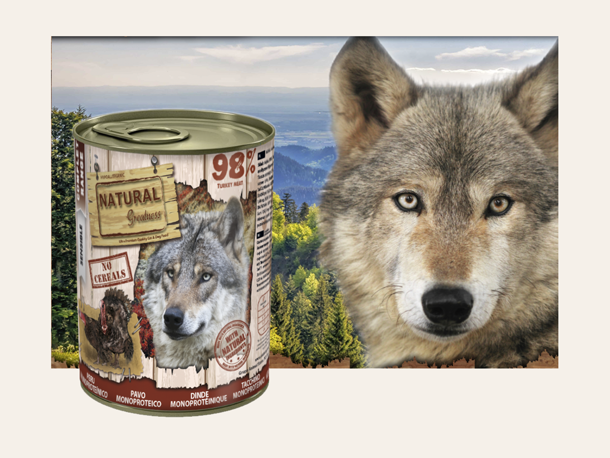 Mousse Completo de Pavo"SIN CEREALES + DIGESTIVO & MUSCULAR" para Perro Adulto/Senior cualquier tamaño