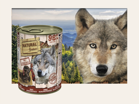 Mousse Completo de Pavo"SIN CEREALES + DIGESTIVO & MUSCULAR" para Perro Adulto/Senior cualquier tamaño