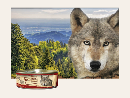 Comida Real (Migas) Complementaria de Pechuga de Pollo "DIGESTIVO & BAJO EN GRASA" para Perro Adulto/Senior cualquier tamaño