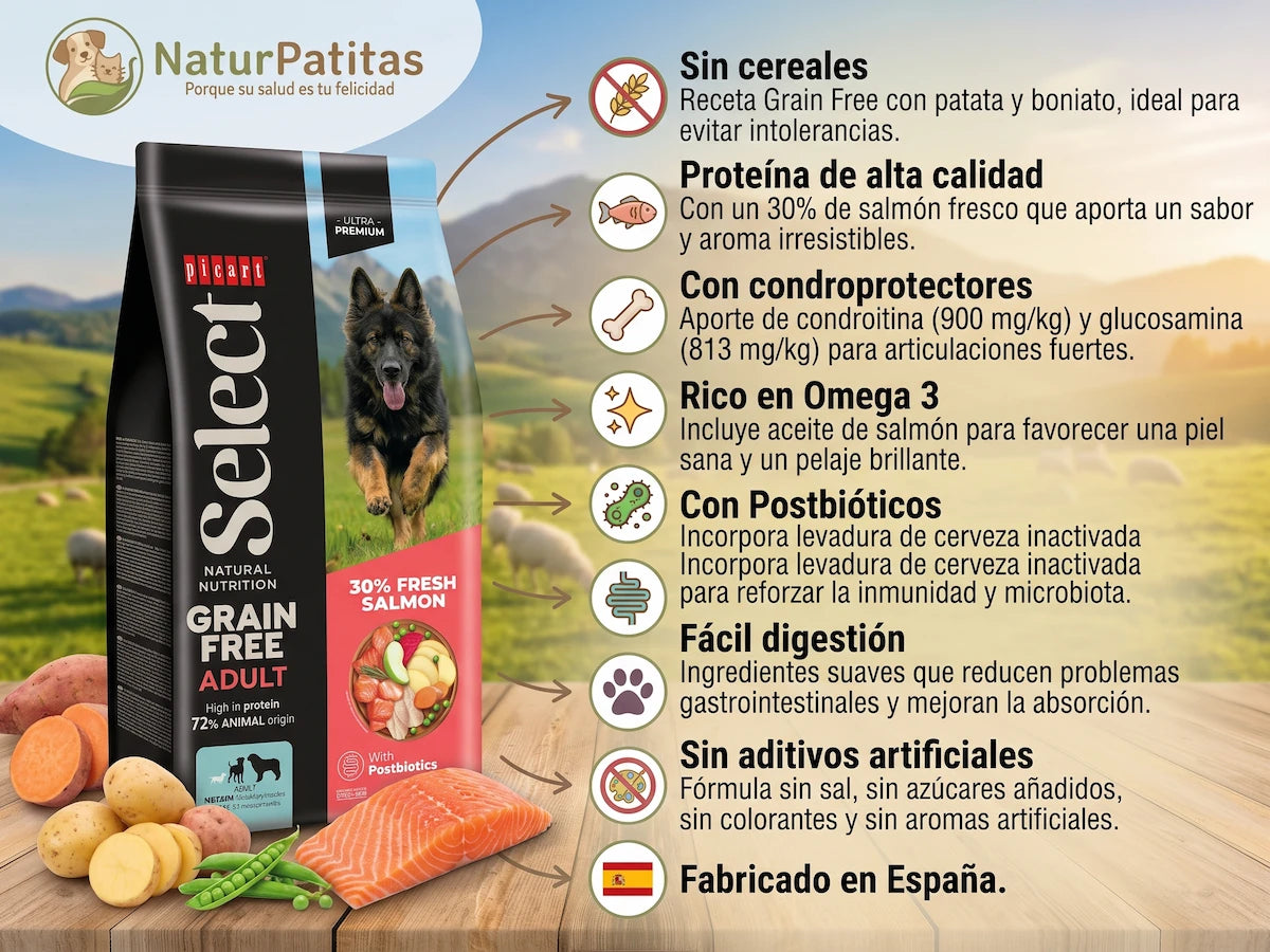 Pienso de Salmón Fresco SIN CEREALES + CUIDADO DÉRMICO y PROTECCIÓN ARTICULAR para Perro Adulto/Senior Tamaño Mediano/Grande/Gigante (también Esterilizados)