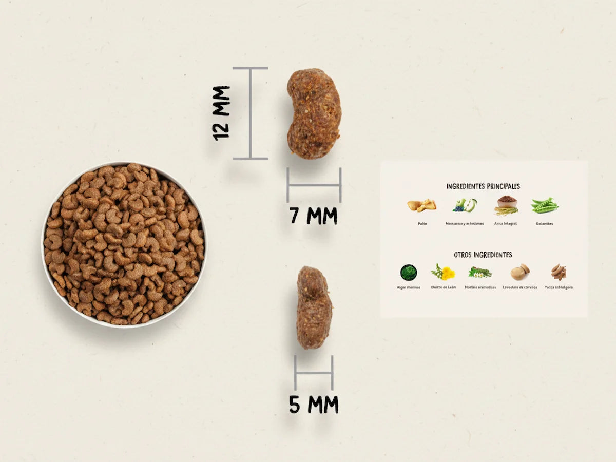 Pienso para salud urinaria de 30% Pollo fresco y Arándanos para Gato con control de pH