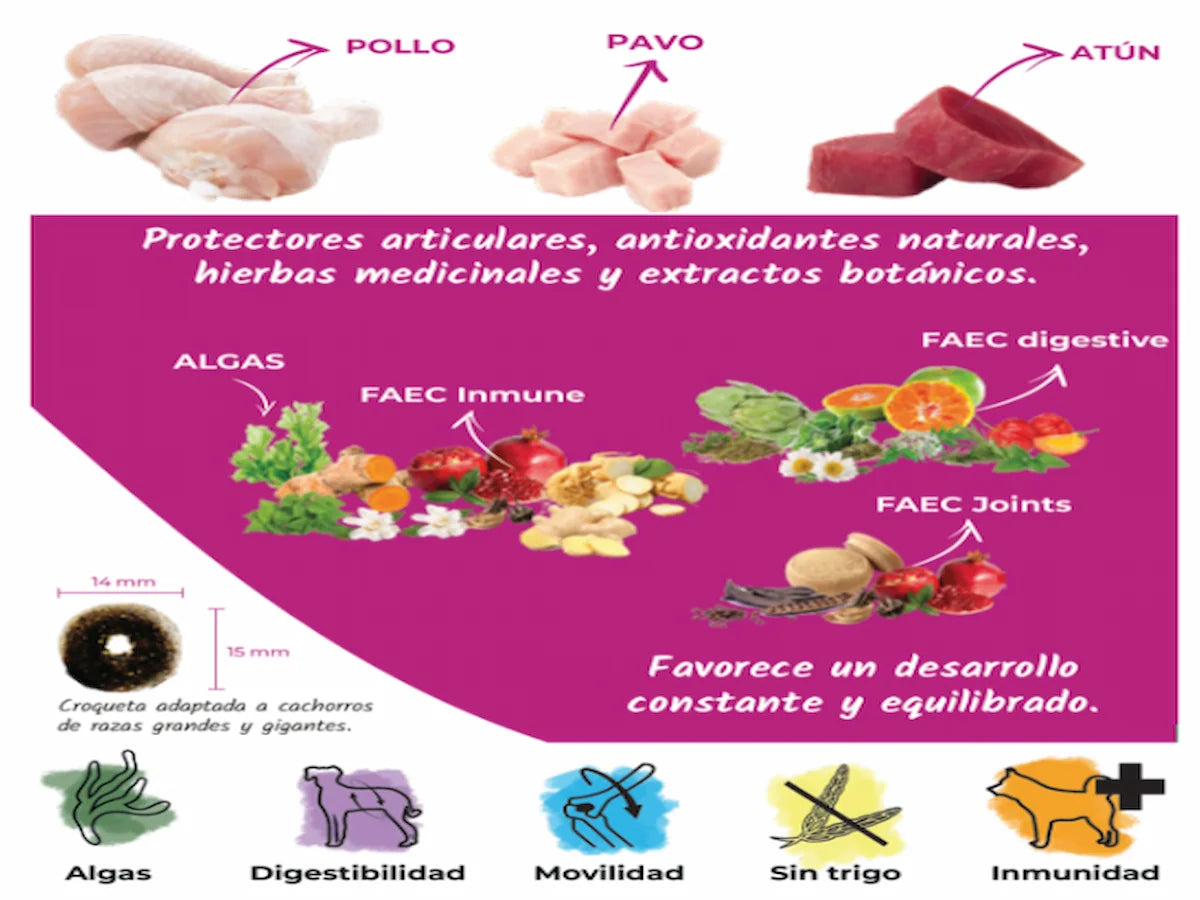 Saco de pienso de Pollo y Pavo para Perro cachorro de raza grande con colágeno y condroprotectores