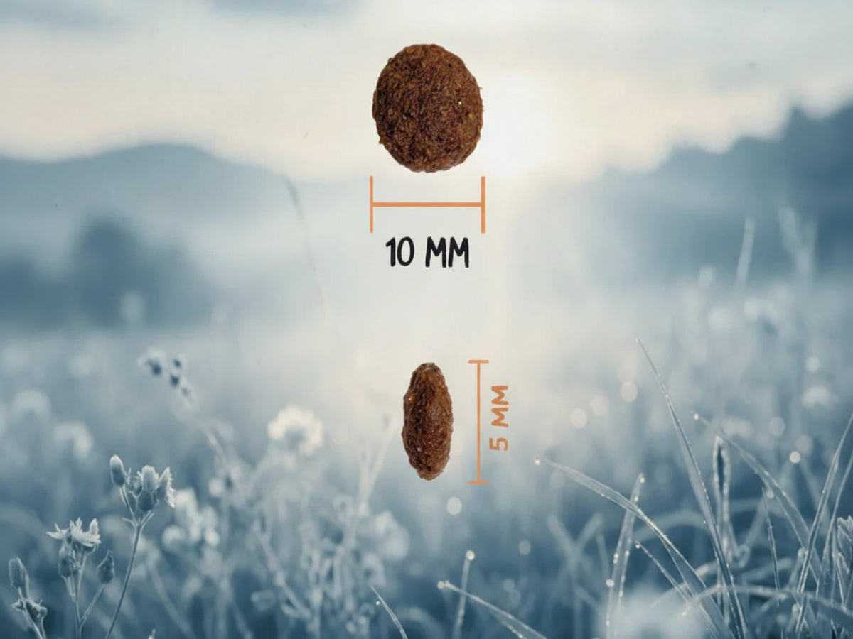 Saco de pienso de Pollo Fresco y Arroz para Perro cachorro con croqueta pequeña