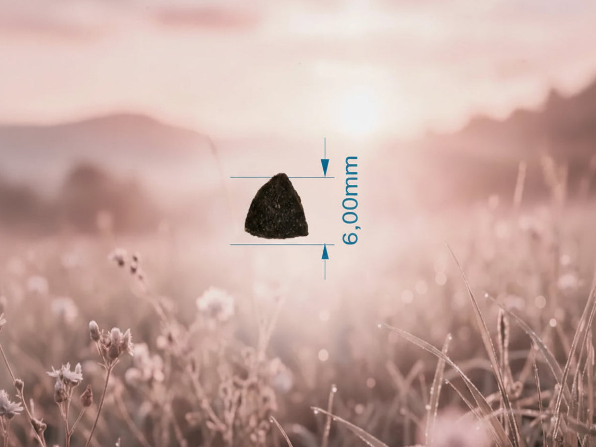 Saco de pienso completo de Pollo, Pavo y Atún para Perro cachorro con protección articular