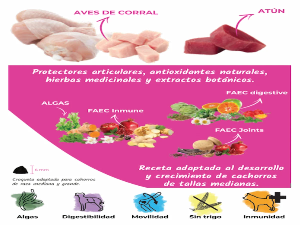 Saco de pienso completo de Pollo, Pavo y Atún para Perro cachorro con protección articular