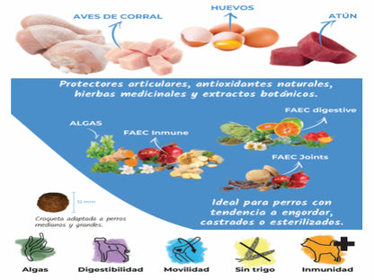 Saco de pienso de Pavo y Pollo para Perro esterilizado bajo en grasa y con condroprotectores