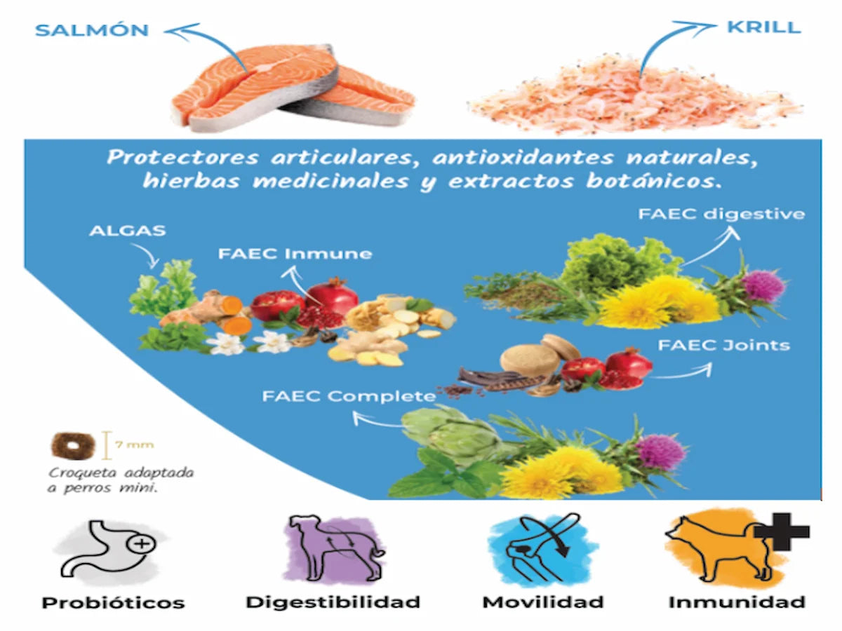 Pienso natural Lenda Mini Hypoallergenic Skin & Coat sin cereales con Omega 3 para perros mini