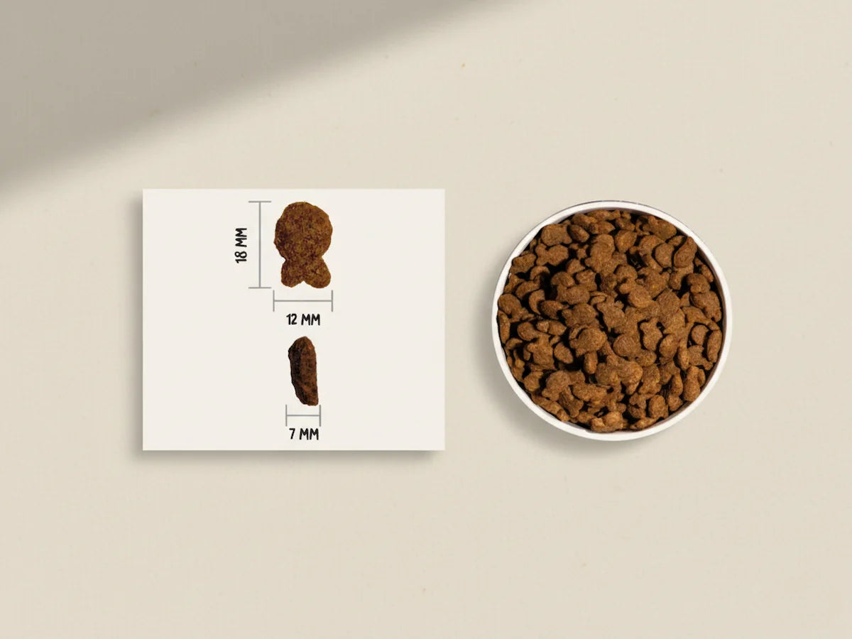 Pienso natural con 10% pescado fresco para perro adulto ideal para piel y pelo