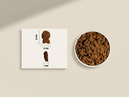 Pienso natural con 10% pescado fresco para perro adulto ideal para piel y pelo