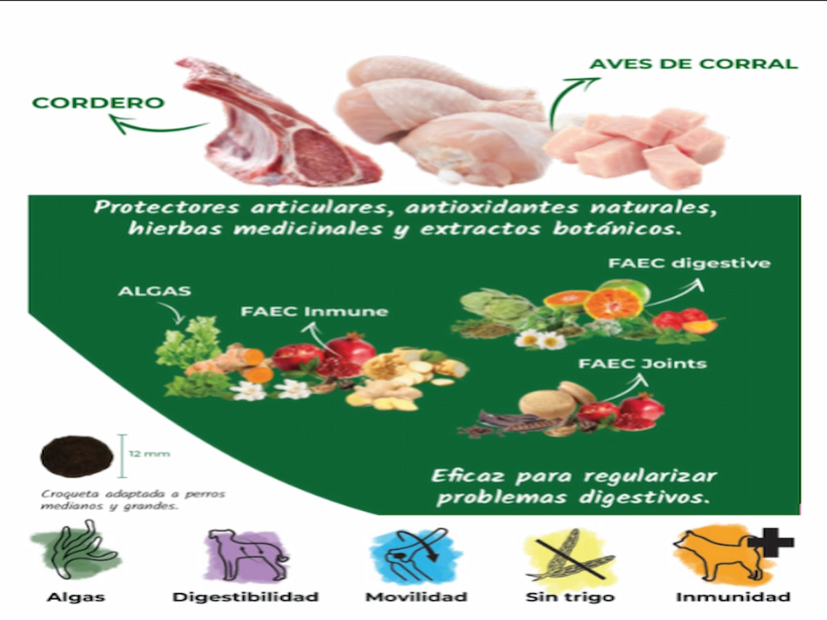Saco de pienso completo de Cordero y Pollo para Perro de raza grande con colágeno y condroprotectores